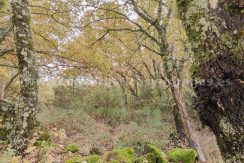 435d0abf-c568-42f1-85bc-5138422cbe53_result