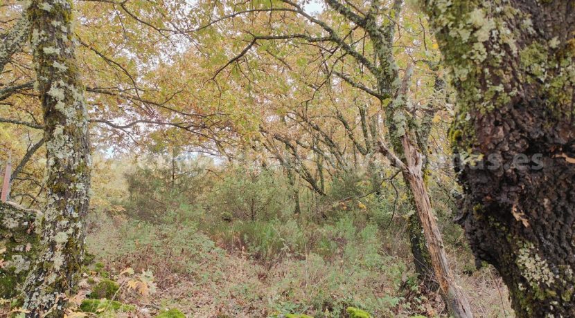 435d0abf-c568-42f1-85bc-5138422cbe53_result