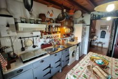 43bb279d-55c0-4d0a-a1b0-dc5b029c3ad5_result