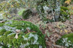 47d51bb1-a886-48ef-9bb2-c15f4e6d5c6c_result