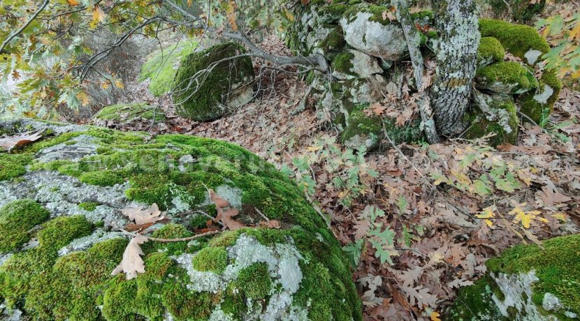 47d51bb1-a886-48ef-9bb2-c15f4e6d5c6c_result