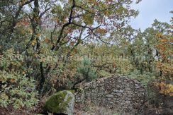 49c5ad6c-4eea-4410-8004-77e621823b8b_result