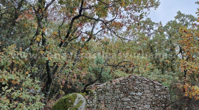 49c5ad6c-4eea-4410-8004-77e621823b8b_result