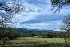 5492ab38-1cad-4db6-b6dd-f4c27cbd9400_result