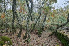 5c87f1e9-ffaf-481f-a458-b637c1d4a928_result