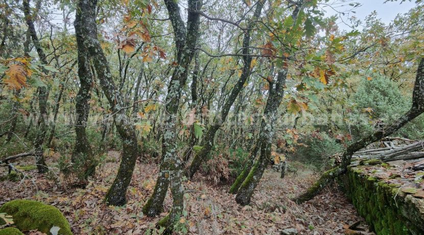 5c87f1e9-ffaf-481f-a458-b637c1d4a928_result