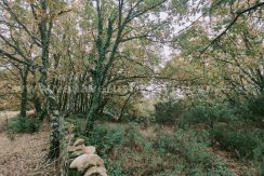 60cf6a19-46bb-41a7-a45f-41c62f3ae4ab_result