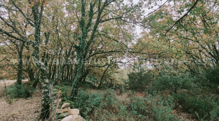 60cf6a19-46bb-41a7-a45f-41c62f3ae4ab_result