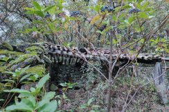 6aeb444c-594d-4ff6-bbae-2e77b74ad116_result