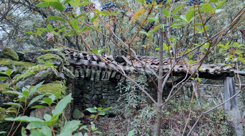 6aeb444c-594d-4ff6-bbae-2e77b74ad116_result