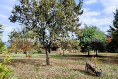 6afd8188-f70d-45d4-a3c9-58188ce85c29_result