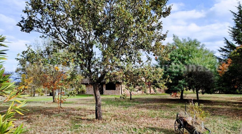 6afd8188-f70d-45d4-a3c9-58188ce85c29_result