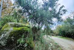 7923ade0-1add-40e7-926b-13d4316ccfa2_result