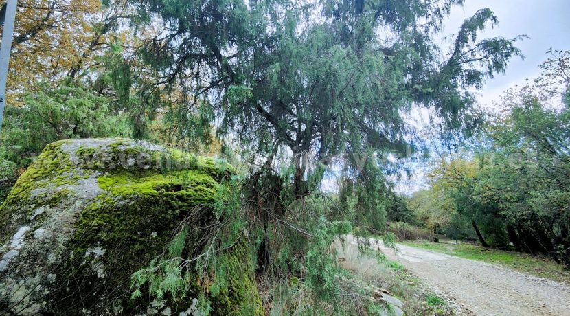 7923ade0-1add-40e7-926b-13d4316ccfa2_result