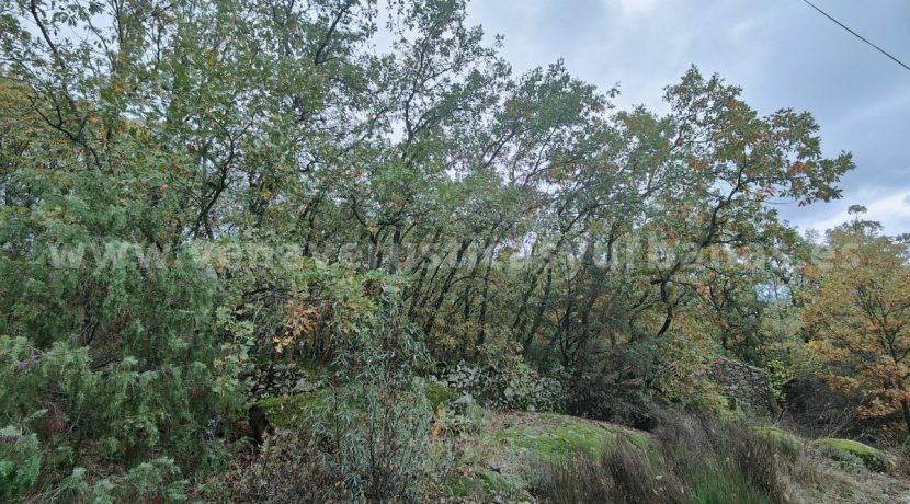 8dc2882d-2375-47e0-88ef-bfa3e32db93f_result