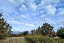 8e620314-1b05-49f9-ae30-4750c3d36254_result