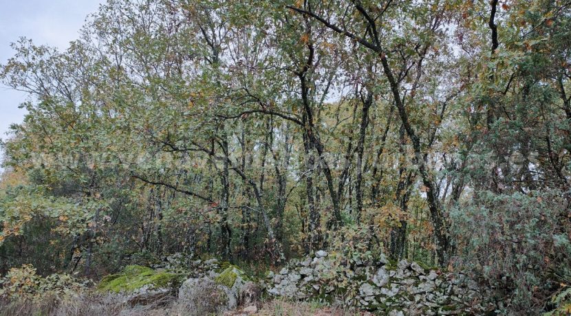 8e687c77-5f20-4cff-9d4f-52e0cb113d7c_result