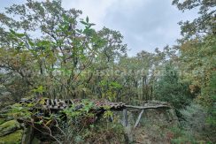 983abbbb-7226-4288-9467-3561f95303b0_result