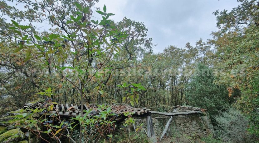 983abbbb-7226-4288-9467-3561f95303b0_result