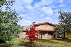 9dc213d5-650a-4938-a107-98e8ec09281b_result