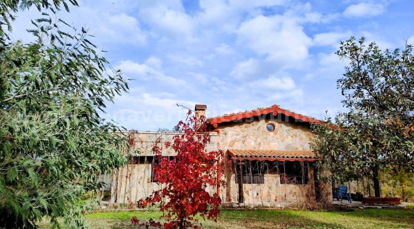 9dc213d5-650a-4938-a107-98e8ec09281b_result