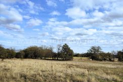 IMG20251111152041 (1)_result