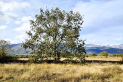 IMG20251111154851_result