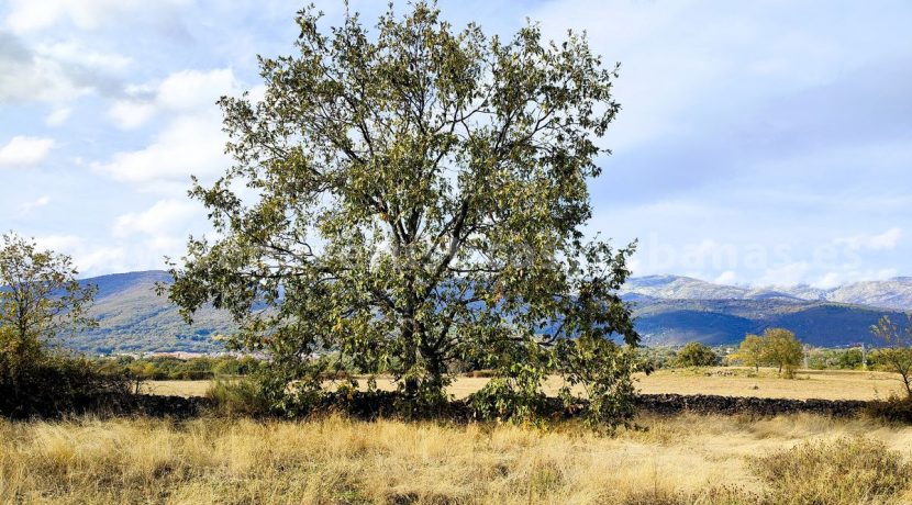 IMG20251111154851_result