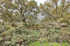 IMG20251117142611_result