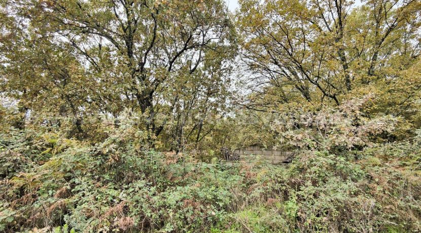 IMG20251117142611_result