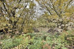 IMG20251117142623_result