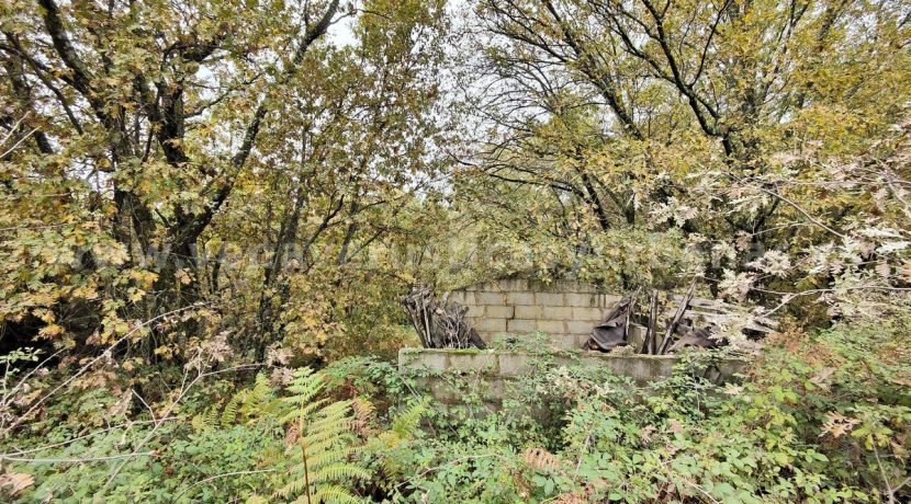 IMG20251117142623_result