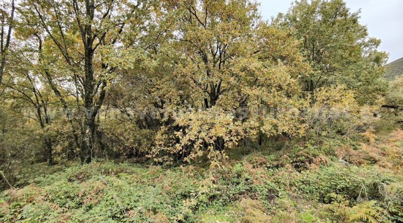 IMG20251117142659_result