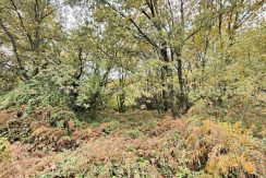 IMG20251117142729_result