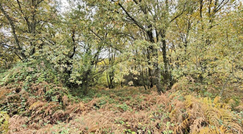 IMG20251117142729_result