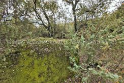 IMG20251117142949_result