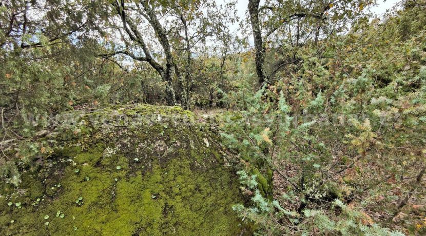 IMG20251117142949_result