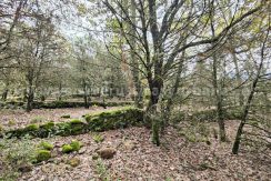 IMG20251117143116 (1)_result