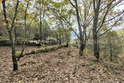 IMG20251117143130_result