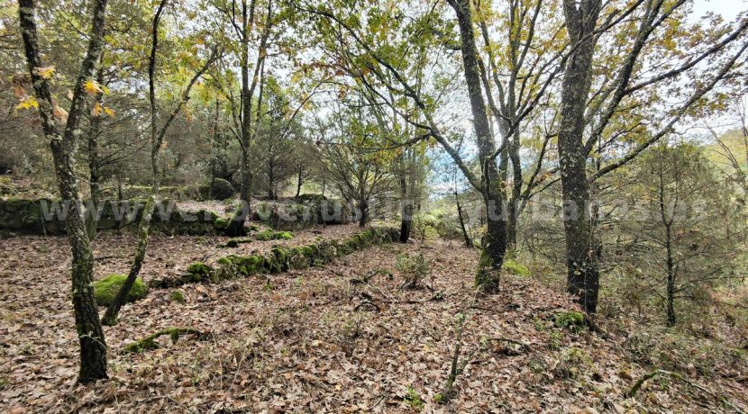 IMG20251117143130_result