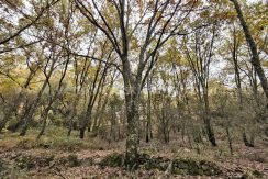 IMG20251117143154 (1)_result