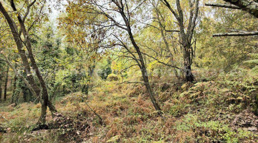 IMG20251117143241_result