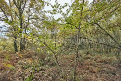 IMG20251117143249_result