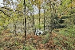 IMG20251117143314 (1)_result