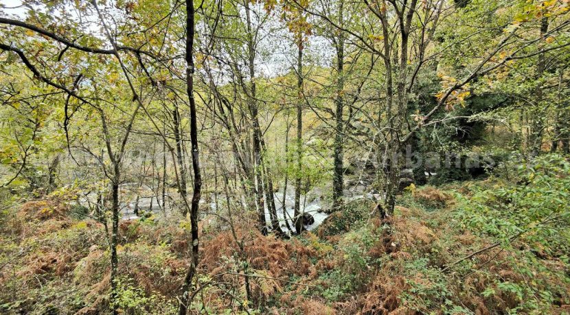 IMG20251117143314 (1)_result