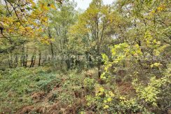 IMG20251117143323 (1)_result