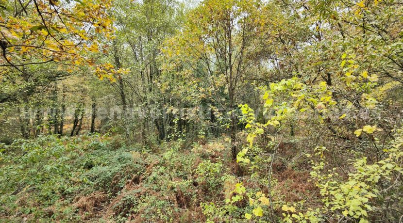 IMG20251117143323 (1)_result