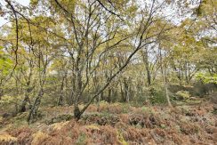 IMG20251117143339_result