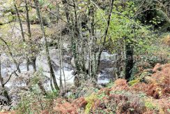 IMG20251117143408 (1)_result