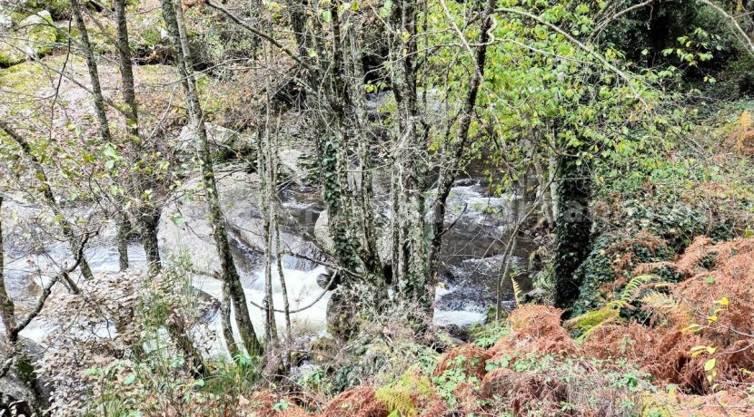 IMG20251117143408 (1)_result